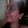 Seidy S. Zevallos