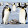momo penguins