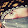 daytoday eighty eighty