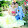 An Phong audio vlogs cái mơn