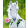 Mimi Poney