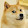 _Doge_ Channel_