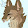 Comicly Animation