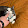 AKCDaSavageMincraft 2007