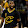 Martez Johnson