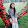 hương ayun