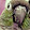 xninjagirlx23 _