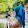 merve