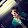 AlpeR GaminG