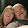 William and Suzanne Jackson