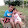 ผู้บ่าวริมทุ่ง ผักบุ้งโหลงเหลง