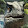 Blue Velociraptor