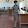 hoa ngo