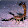 DesertScorpionKSA