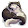 Loup Blanc