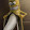 Da god720 G
