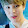 Jiminie My Babe