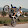 Passione_Motori___