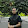 Arnold Ardianto
