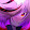 Alnic the Hedgehog