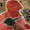 StandOFF 2