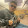 OZ_BlueWolf