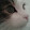 Catboi9000