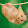King Hamster 2 T3 8.0