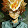 diawplay gameeveryday