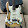 Purple rain Guitar crying