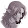 Best Celer