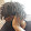Dre Walker
