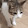 NiceL