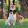 sports dogs team