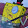 Spange Bab