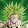 Legendary Broly