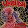 Nuck Fu Metal