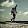 CIAVN_Shadow CFPro