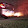 The Sound of Speed