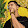 Ramriddlz