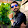 Ali Rajput