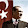 Harun Ünal
