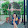 tubtim happiness