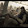 shaggy_6