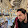 Anton Charov