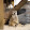 Mr. Meerkat
