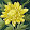 Flower Power