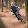 DomiN 3run