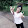 นริศรา ศิริสกุลวิวัฒน์