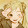 Rakuei